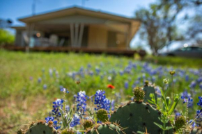 Burnet Beauty